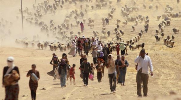 العراق: العثور على 80 جثة لأكراد إيزيديين شمال الموصل