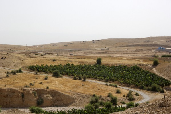 اتحاد لجان العمل الزراعي يحذر من طرح الادارة المدنية للاحتلال 6 مخططات لبناء قرية جديدة في النويعمة