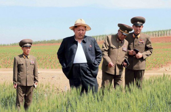 الزعيم الكوري يتفقد مزارع الجيش