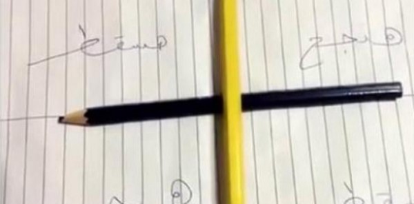 فيديو: غريب ولكنه مضحك .. طالب مصري استدعى "تشارلي" لمعرفة نتيجة الامتحان