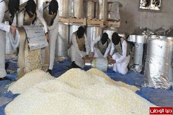البحرين: ضبط أكبر شحنة مخدرات في العالم بقيمة ملياري ريال في طريقها إلى السعودية