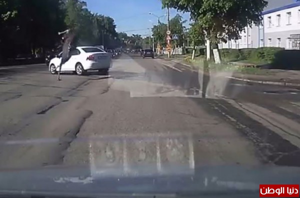 حيوان يقفز فوق سيارة مسرعة