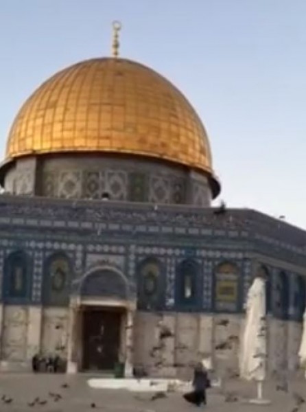 مسجد قبة الصخرة صباح اليوم