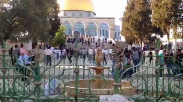 جمال الساحات الخارجية للمسجد الأقصى