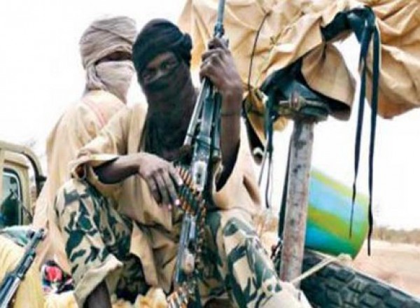 مصدر نيجيري: جماعة بوكو حرام تقطع رؤوس 11 عضوا بها