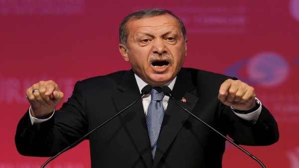 أردوغان: سندعو لانتخابات مبكرة في حالة فشل تشكيل ائتلاف