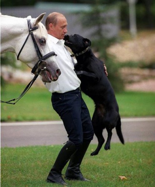 بالصور.. بوتين وعشقه لكلبه المدلل "كوني"