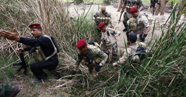 مقتل 46 من "داعش" بنيران الشرطة العراقية و"البيشمركة" فى سنجار وصلاح الدين