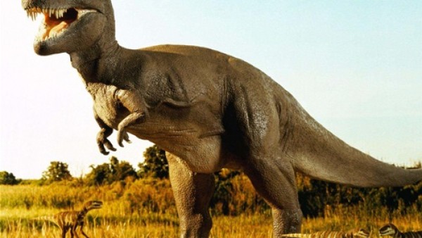 اكتشاف ديناصورات شبيهة «بتي. ركس» لديها أسنان رعب مشرشرة
