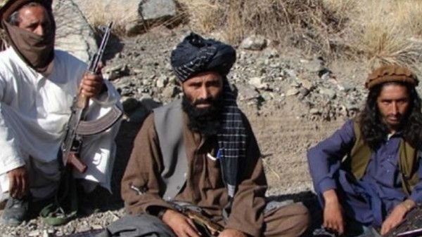 طالبان باكستان تنفي وفاة مؤسس "حقاني"