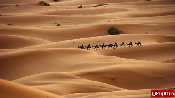 فيديو: كيف كان يعيش عنترة بن شداد في مرتفعات قصيباء بالسعودية