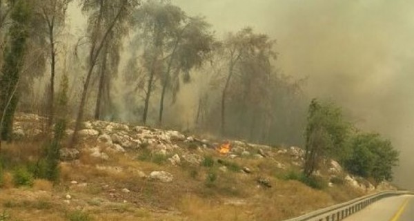 الاطفاء الاسرائيلي: حريق القدس متعمّد