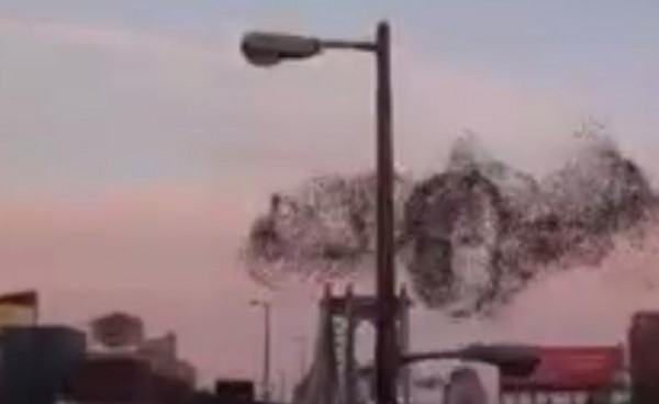 فيديو: وجه الرئيس بوتين يظهر فوق مدينة نيويورك