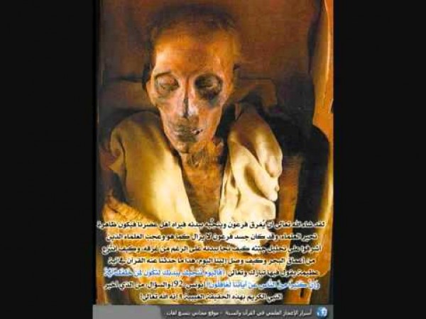 فيديو نادر جدا عن معجزات القران التي ادهشت العلماء