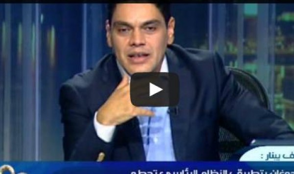 كاتب تركي: تصريحات أردوغان وحكومته «متخبطة» .. فيديو