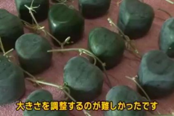 فيديو: كيف يتم انتاج البطيخ بأشكال مختلفة