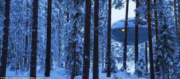 مغامرة جديدة وسط الغابات السويدية مع فكرة "فندق الشجرة"