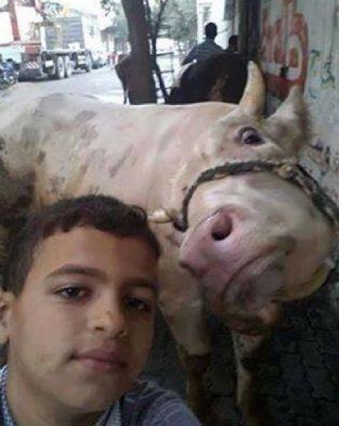 غزة