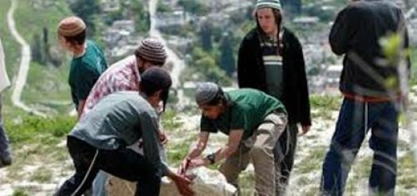 الخفش: 126 إعتداء للمستوطنين في الضفة الغربية خلال أربعة أيام