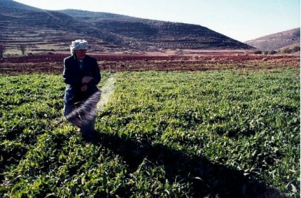 جايين يا تراب الوطن