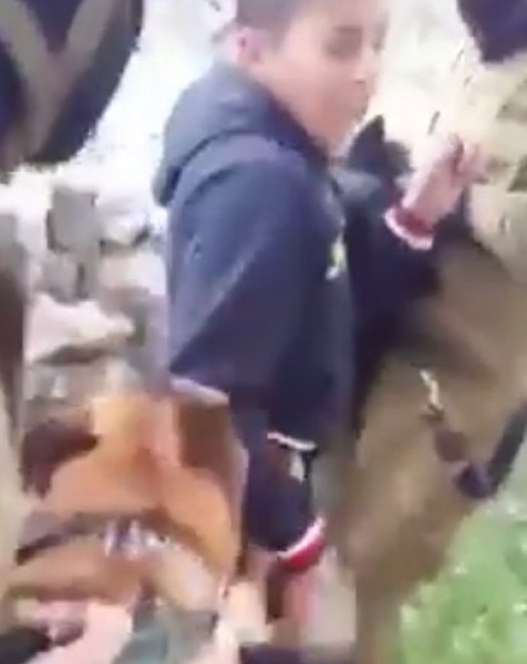 بالفيديو:جنود الاحتلال يطلقون الكلاب لنهجش جسد طفل فلسطيني