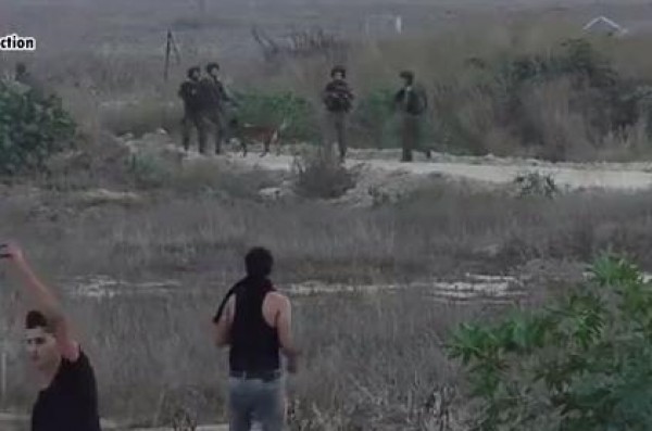 مواجهات من مسافة قريبة.. فيديو: اجتياز شبان للحدود الشرقية لقطاع غزة اليوم