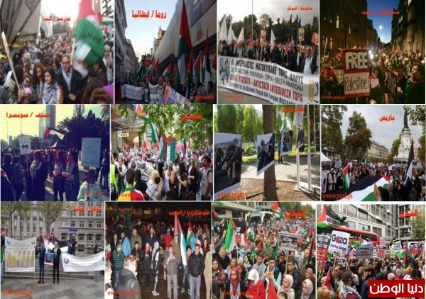 الجاليات الفلسطينية تستنفر جهودها لدعم وإسناد شعبنا