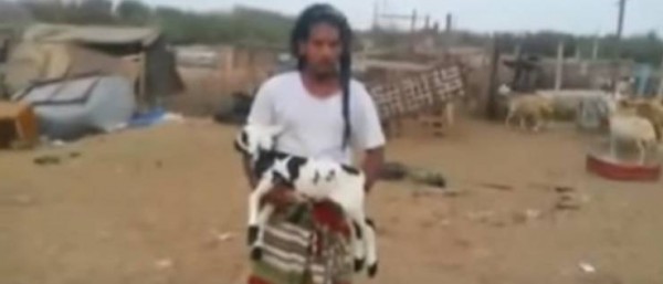 بالفيديو.. خروف مكتوب عليه "محمد" .. و صاحبه يرفض بيعه بمبالغ طائلة