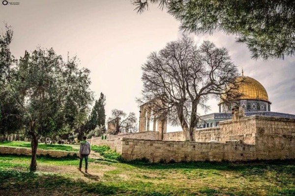 صباحكم من القدس أجمل