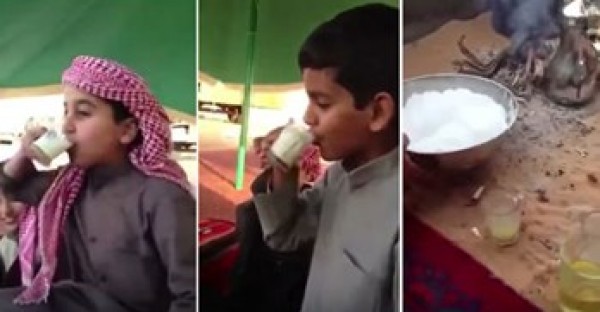 بالفيديو.. سعودي يسقي اطفالاً حليب الإبل مخلوطاً بـ بولها دون علمهم
