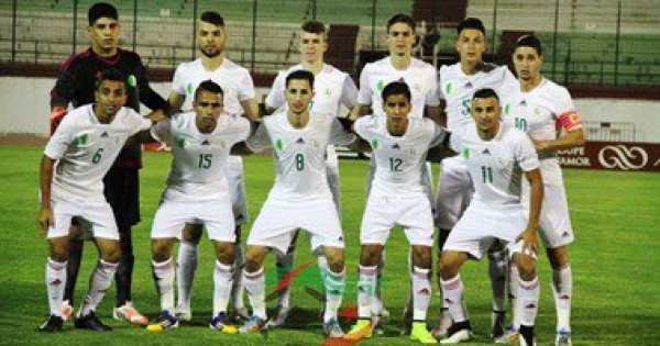 مجموعة مصر.. مدرب الجزائر: سنقاتل لتحقيق حلم الأولمبياد