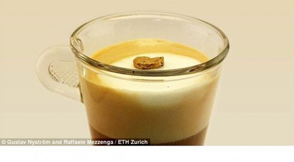 سويسرا تصنع ذهب 20 قيراط من الماء والحليب !