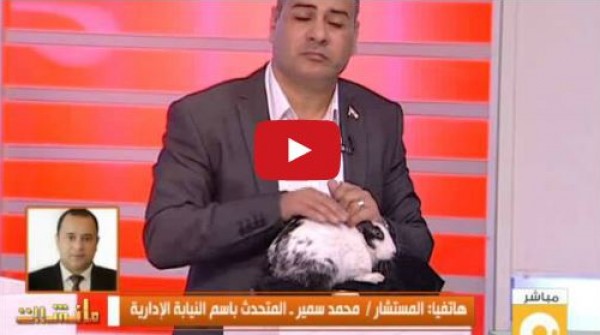 جابر القرموطى يستضيف "أرنب" على الهواء