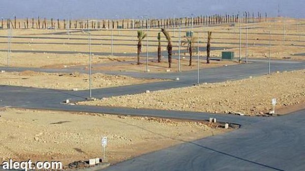 أمانة المدينة المنورة تحذر من شراء الأراضي الوهمية والمشاعة