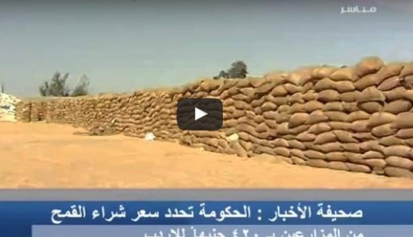 شاهد: الحكومة تحدد سعر شراء القمح بـ420 جنيهًا للإردب