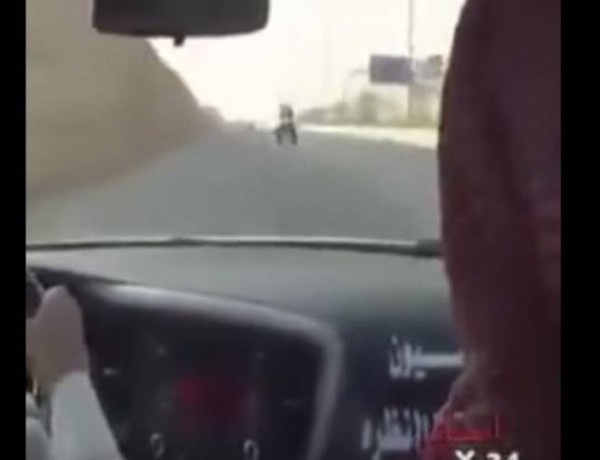 فيديو| شاب يقود عكس السير وبسرعة عالية
