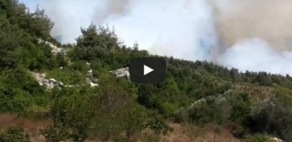 60 قتيلًا من قوات الجيش السوري عند مداخل مدينة سلمى في اللاذقية