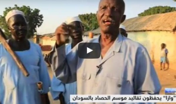 بالفيديو: أبواق "وازا" الذاكرة المسموعة للحصاد في السودان