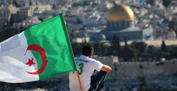 فيديو| الجزائر تحتفي بفلسطين