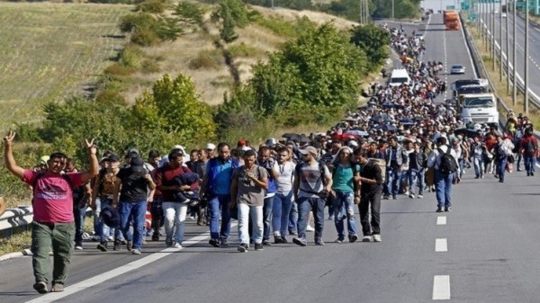 صربيا تخطط لاستقبال 6 آلاف لاجئ على أراضيها
