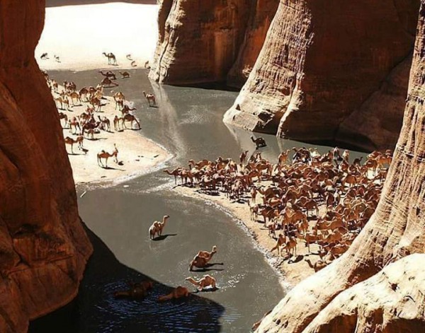 محمية وادي الجمال في مصر