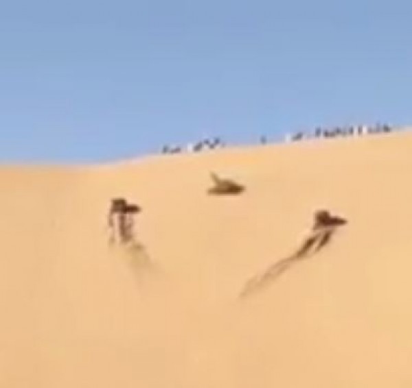 إستعراض لمهارات على التلال الرميلة ينتهي بتصادم عنيف بين سيارتين
