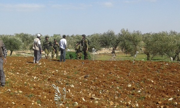 الجيش الاسرائيلي والمستوطنون يهاجمون متطوعين خلال عمل تطوعي لزراعة الاشجار قرب مستوطنة مجدليم