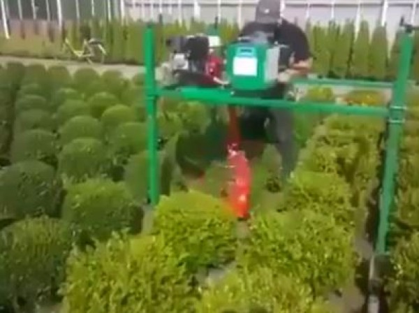 ألة لقطع الأشجار بشكل كروي