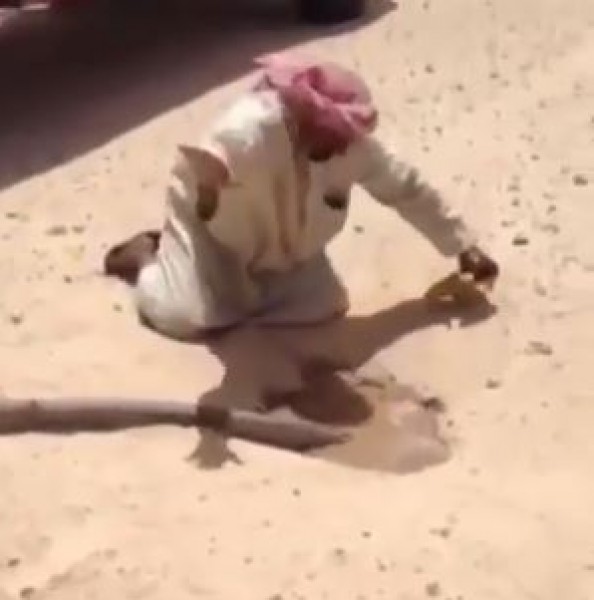 شاهد كيف يتم إصطياد الضب في السعودية