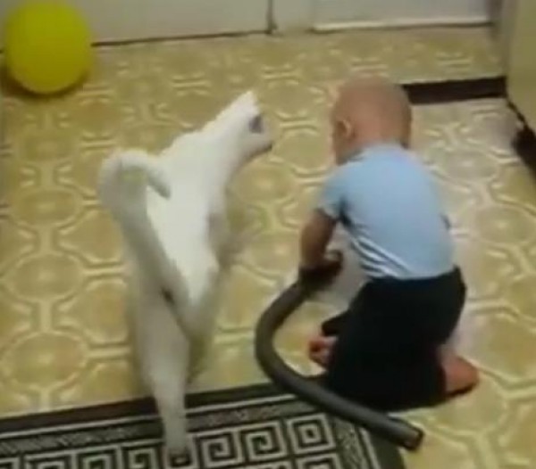 بالفيديو ... مقطع طريف لاطفال يلعبون مع قطط