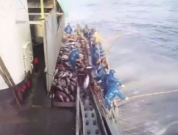 أغرب طرق الصيد