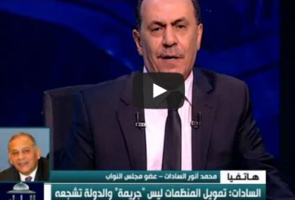 السادات: تمويل المنظمات ليس جريمة والدولة تشجعه