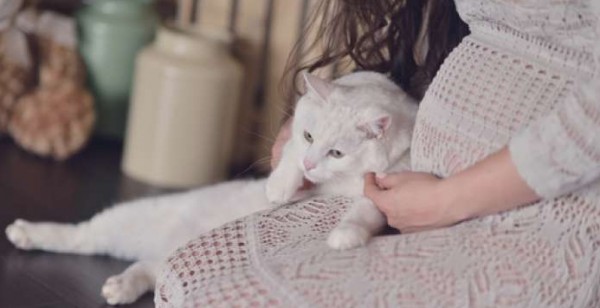 ما حقيقة خطر تربية القطط على الحامل؟