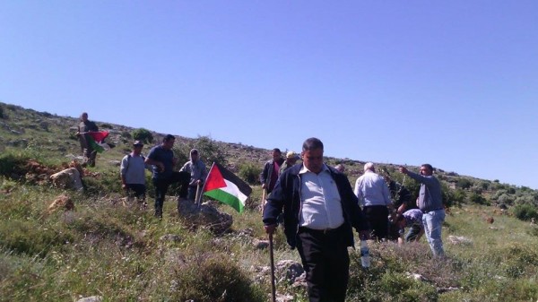 بمناسبة يوم الارض..اتحاد جمعيات المزارعين الفلسطينيين ينظم يوما تطوعيا بزراعة 200 شجرة زيتون